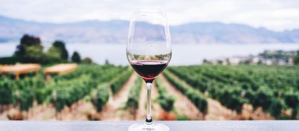 Грузия и Азербайджан запустят совместный винный маршрут