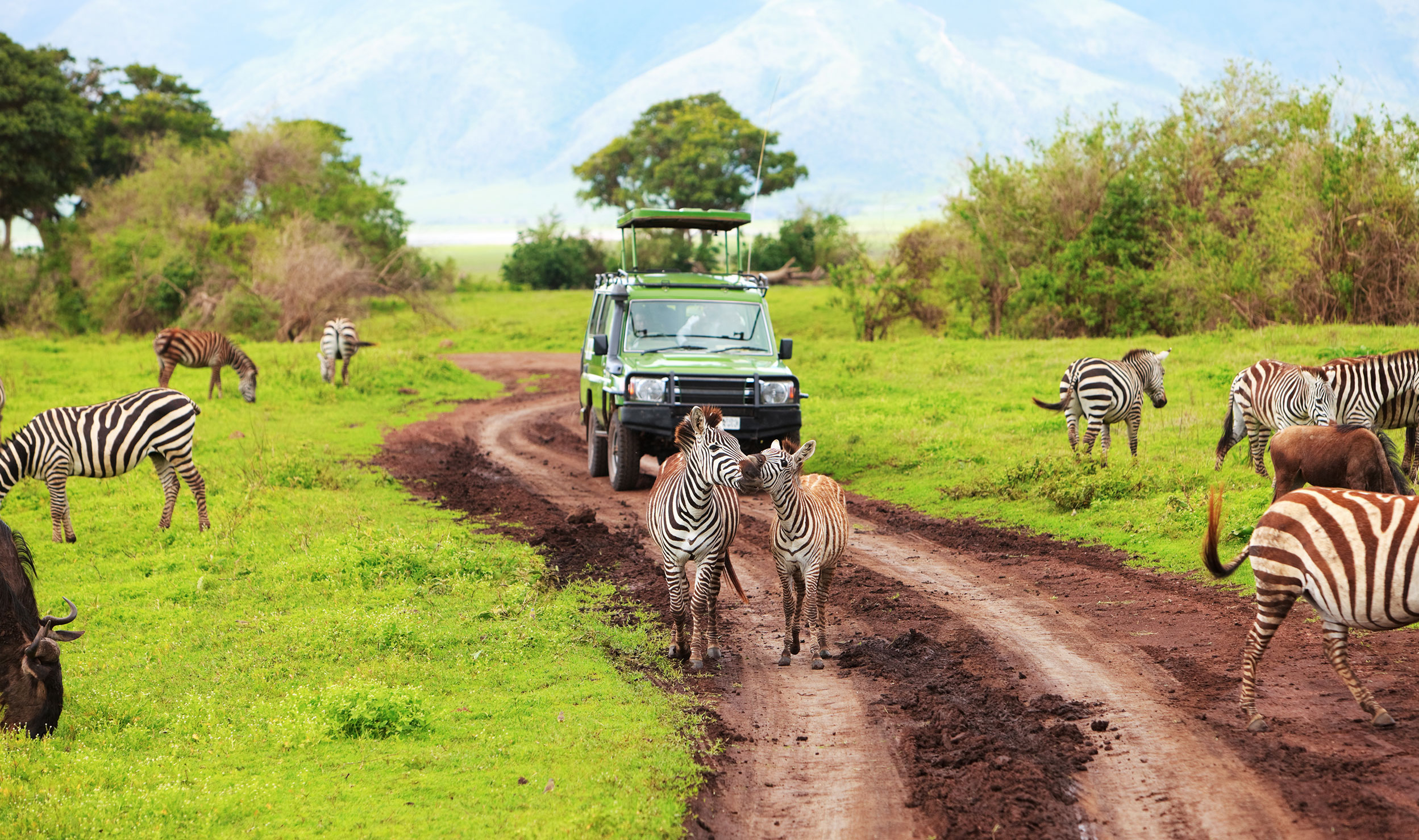 Qué ver en Tanzania &#8211; 8 atracciones que vale la pena visitar