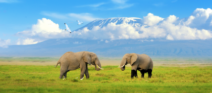 Национальный парк Килиманджаро: что посмотреть