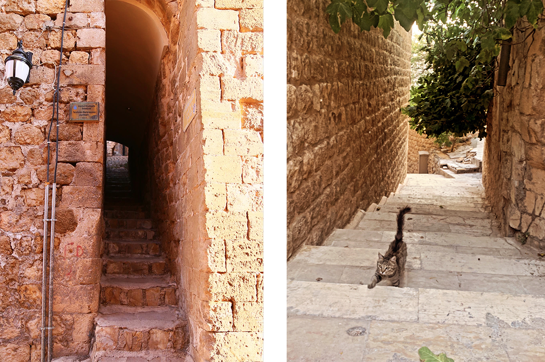 Paseos en Mesopotamia. Primera parte: Mardin