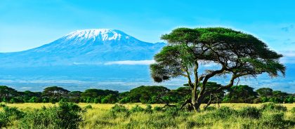 А у нас на Килиманджаро интернет, а у вас?