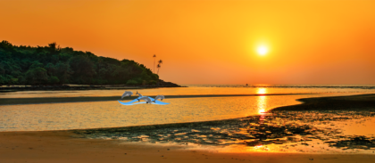 Пляжный отдых в Гоа: где лучше отдыхать
