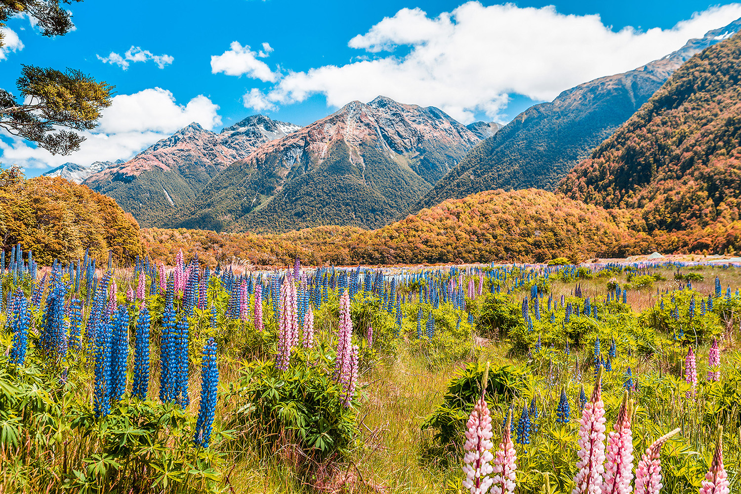 Fiordland National Park