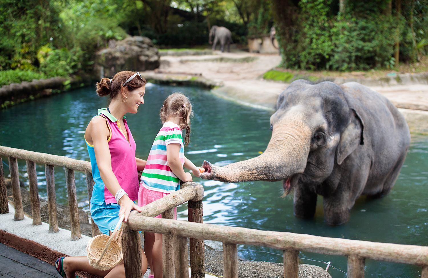 singapore zoo