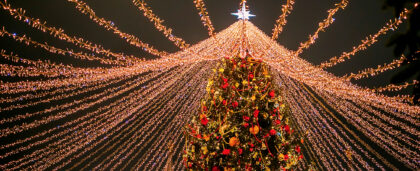 Куда пойти с детьми в Москве? На Кремлёвскую ёлку!