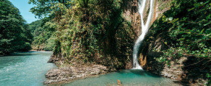 В Сочи появится плата за вход в национальный парк